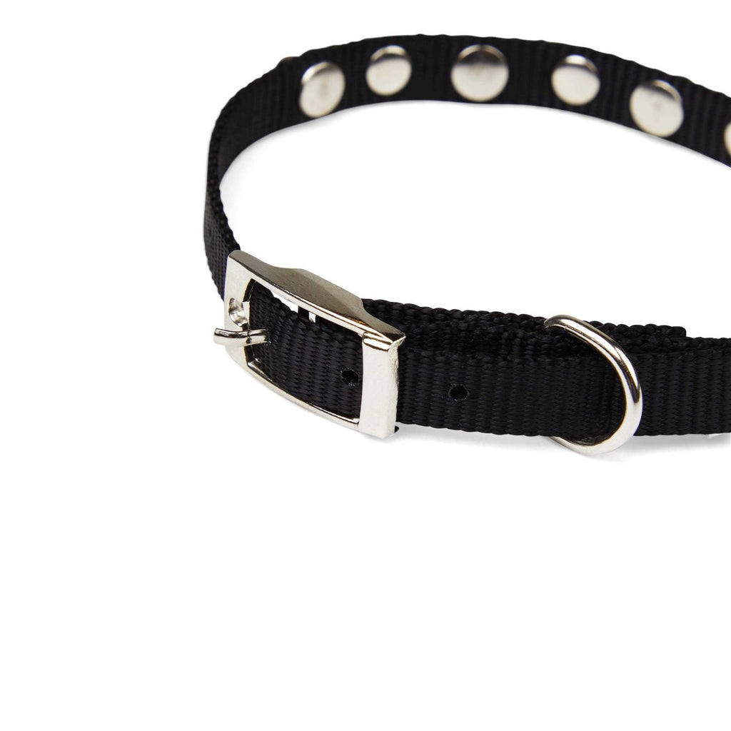 Black Bling Dog Collar X247275