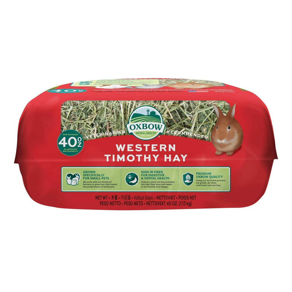Timothy Hay A68223