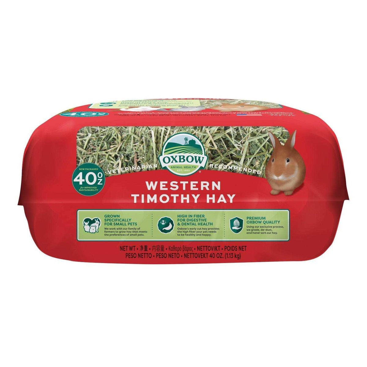 Timothy Hay A68223