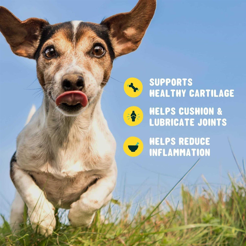 Glucosamine for Dogs Hip and Joint Supplement with Chondroitin D951