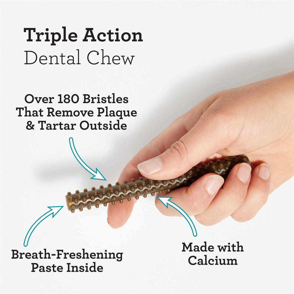 Dental Sticks M71164