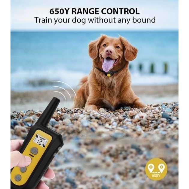 Remote Dog Training Shock Collar X6049