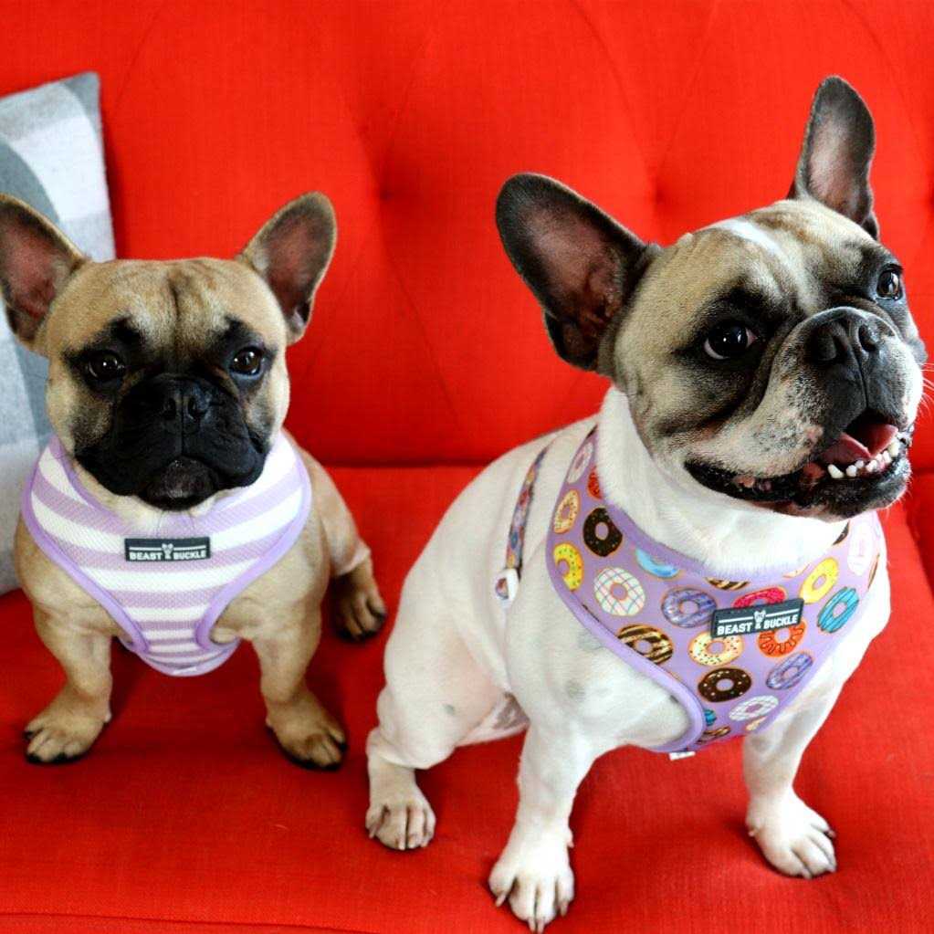 Reversible Dog Harness K876599
