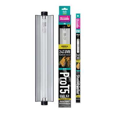 Reptile Kit J8601