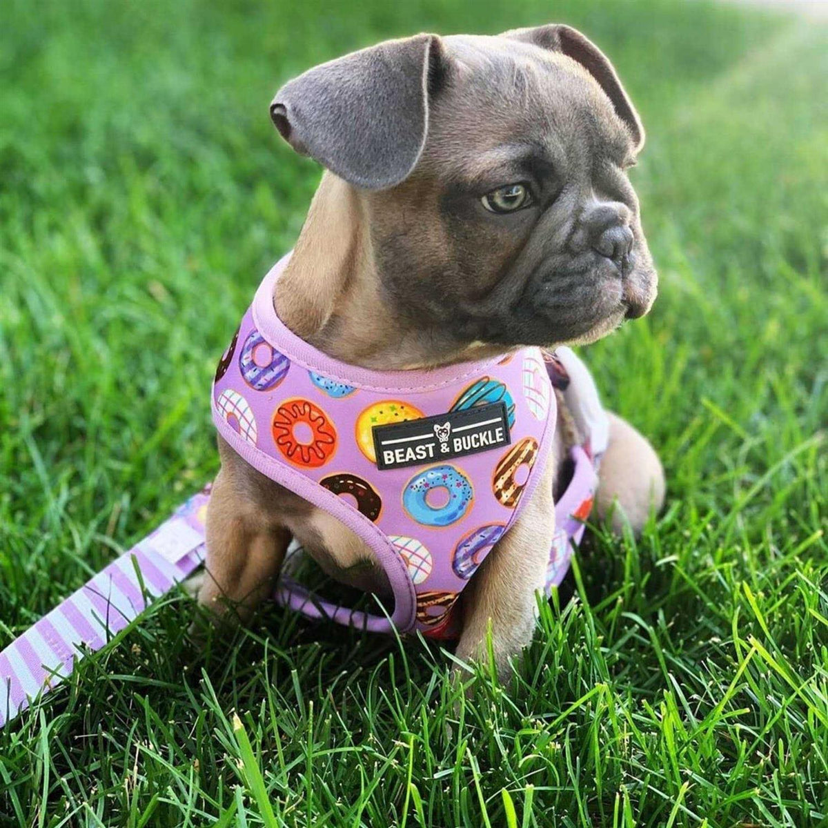 Reversible Dog Harness K876599