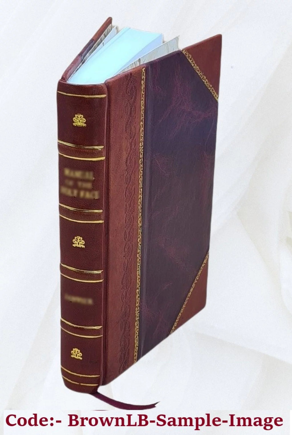 Leather Bound B600651